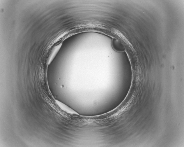 X0000087630969200705181456