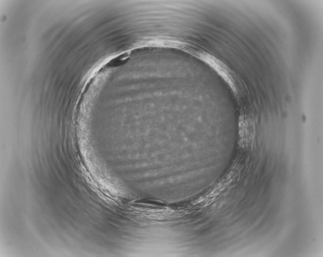 X0000087630972200705181456