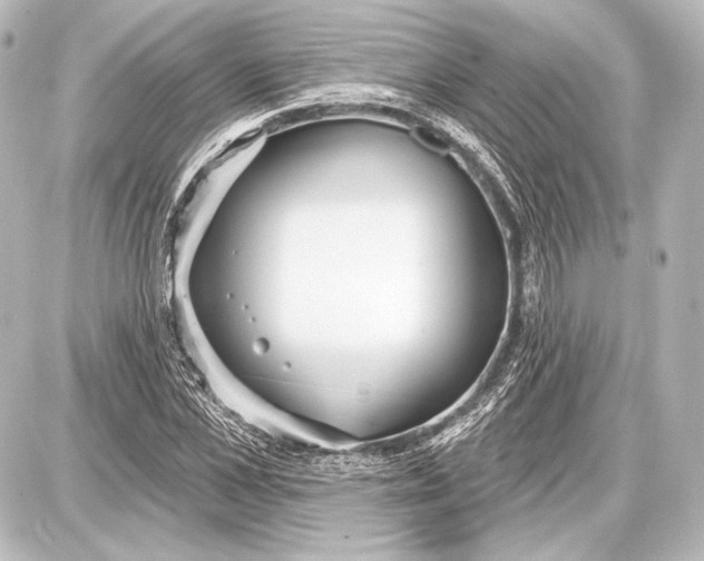 X0000087630973200705181456