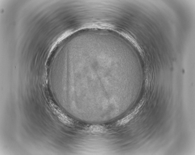 X0000087630974200705181456