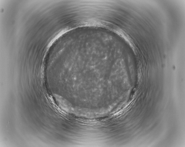 X0000087630975200705181456