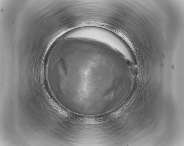 X0000087630976200705181456