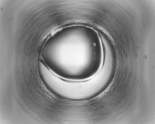 X0000087630977200705181456