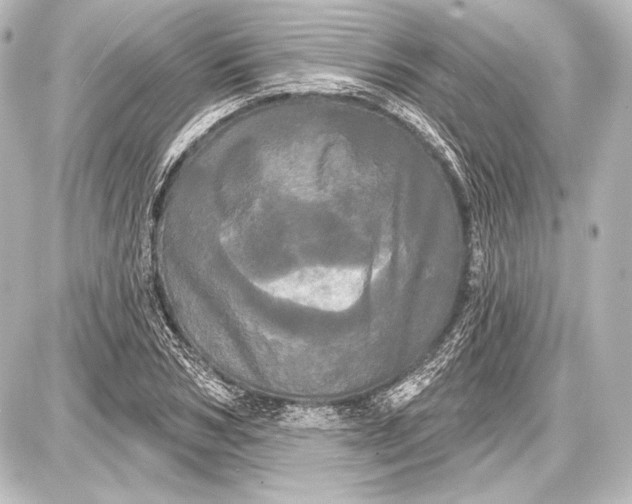 X0000087630978200705181456