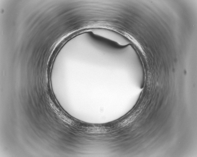 X0000087630980200705181456