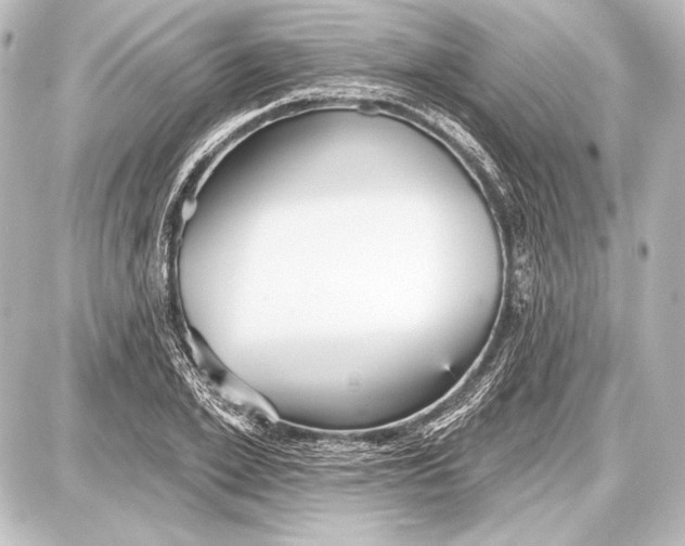 X0000087630981200705181456