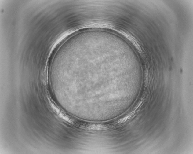 X0000087630982200705181456