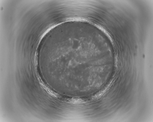 X0000087630983200705181456