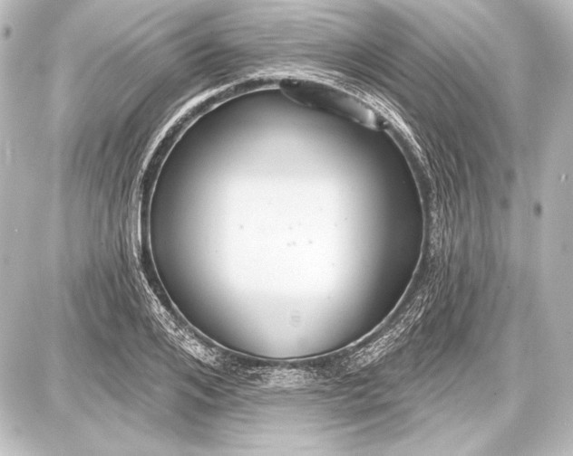 X0000087630984200705181456