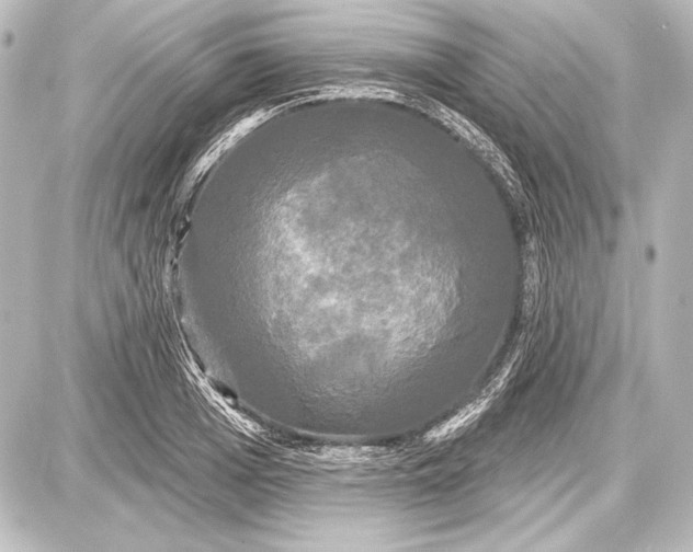 X0000087630985200705181456