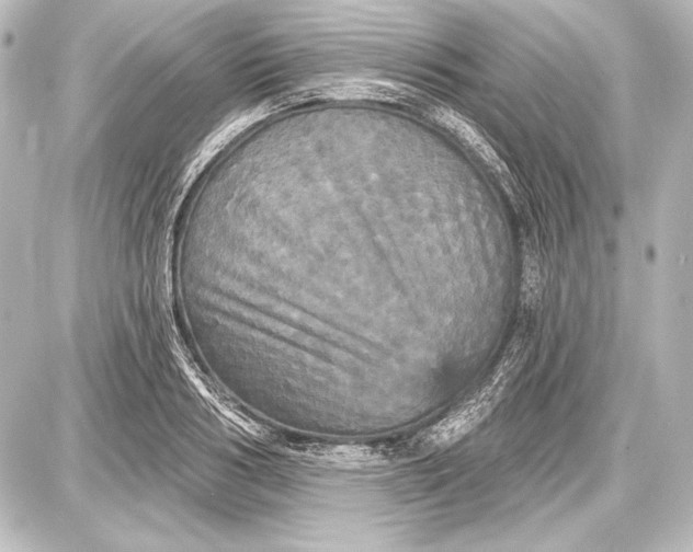 X0000087630986200705181456