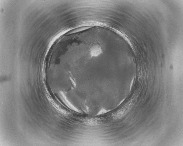 X0000087630987200705181456