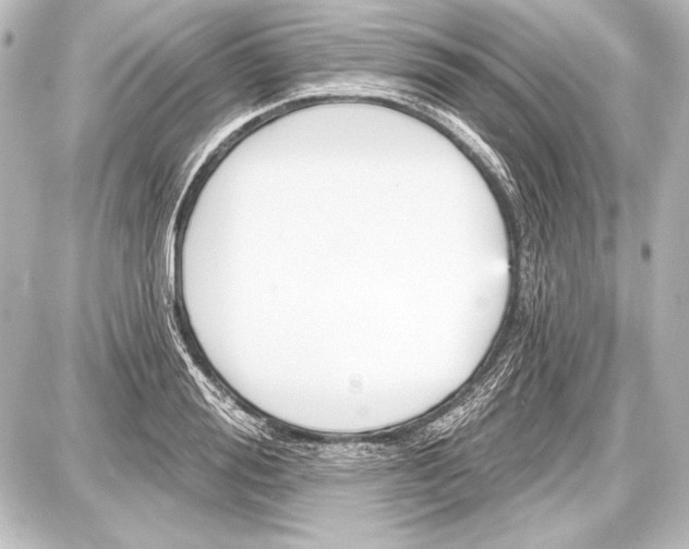 X0000087630988200705181456