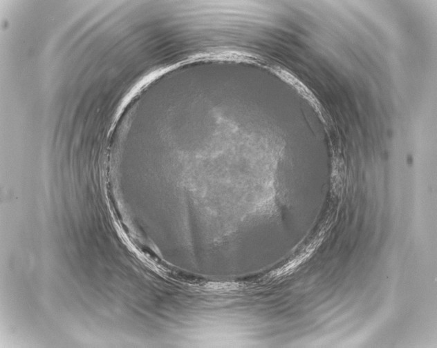 X0000087630989200705181456