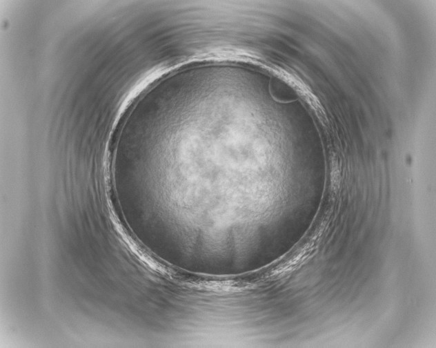 X0000087630990200705181456