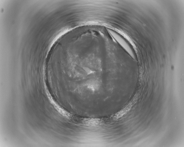 X0000087630991200705181456