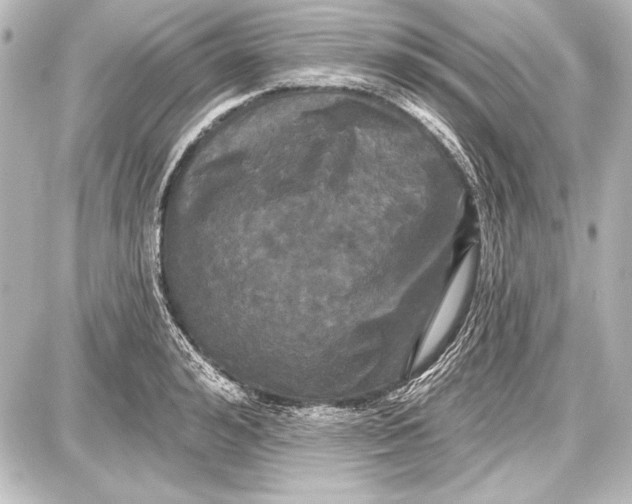 X0000087630992200705181456