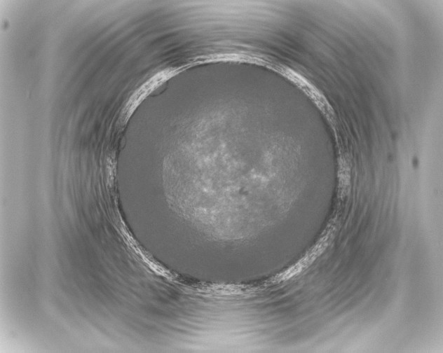 X0000087630993200705181456