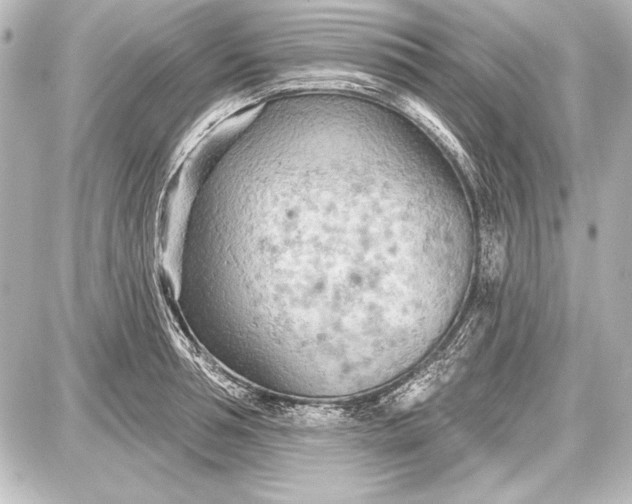 X0000087630994200705181456