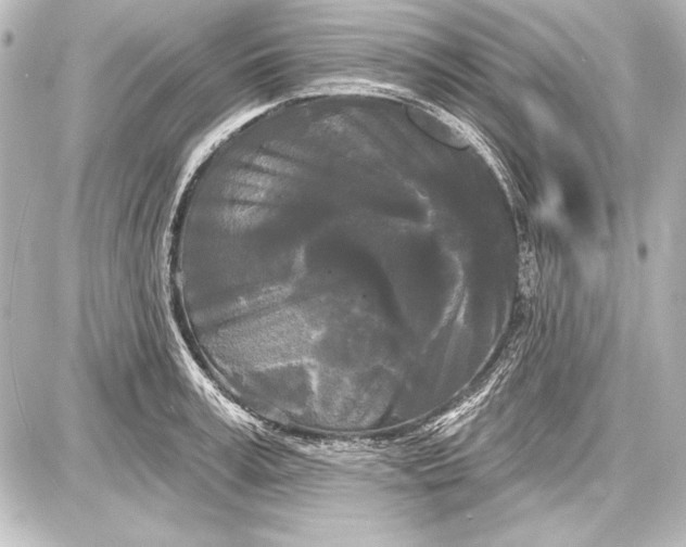 X0000087630995200705181456