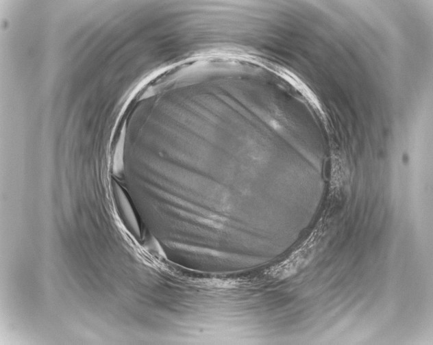 X0000087630996200705181456