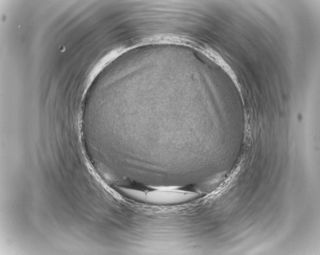 X0000087630997200705181456