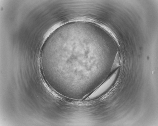 X0000087630998200705181456