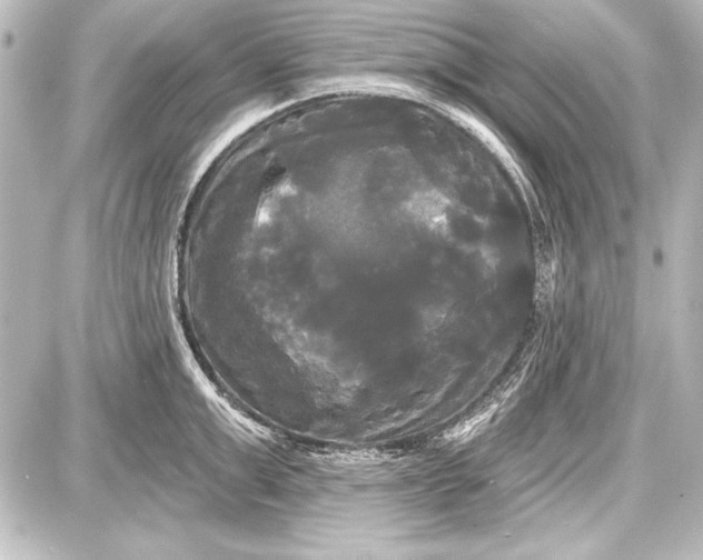 X0000087630999200705181456