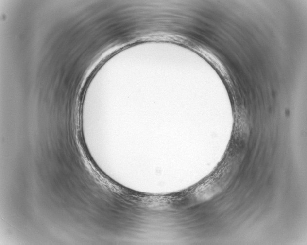 X0000087631000200705181456