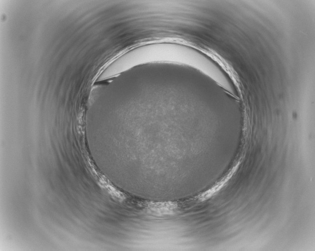 X0000087631001200705181456