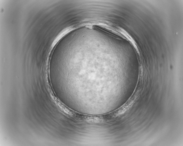 X0000087631002200705181456