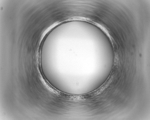 X0000087631003200705181456