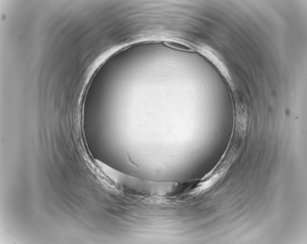 X0000087631004200705181456