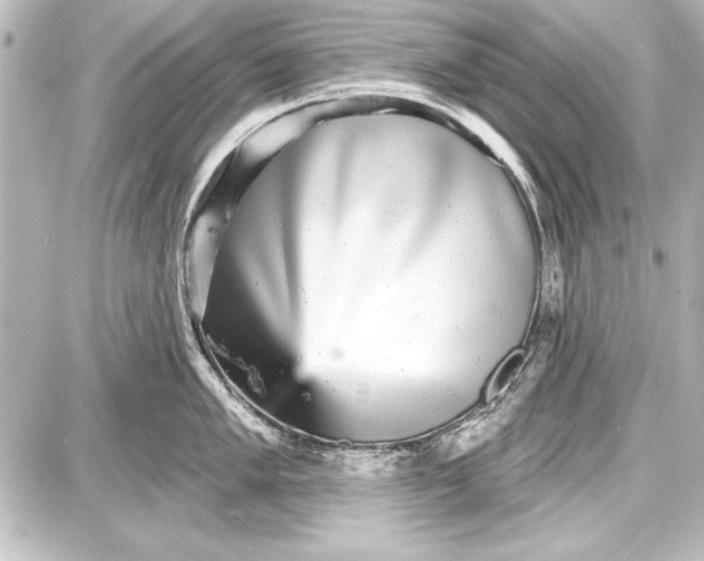 X0000087631005200705181456