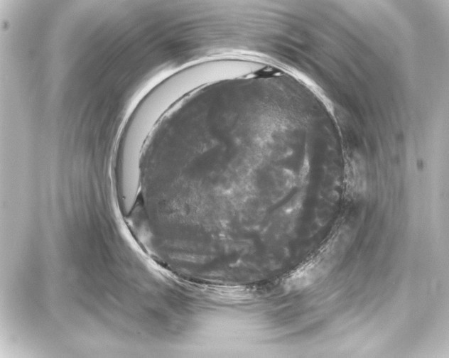 X0000087631007200705181456