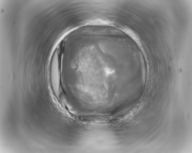 X0000087631008200705181456