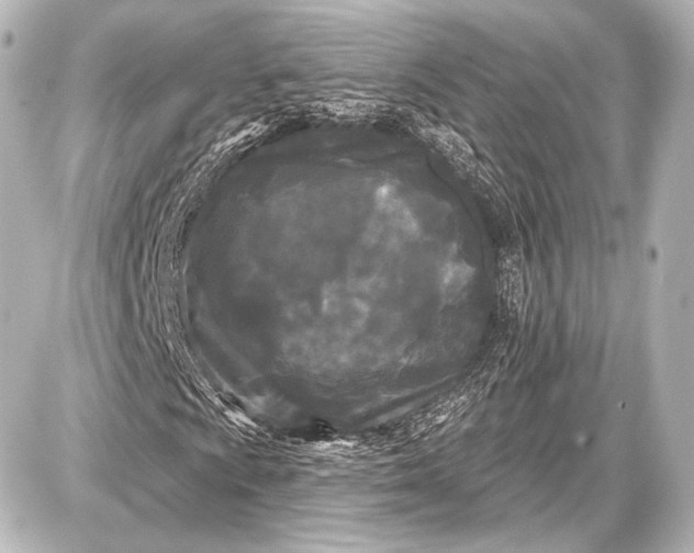 X0000087631009200705181455