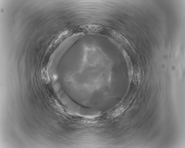 X0000087631010200705181455