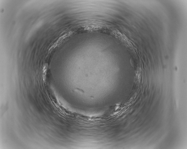 X0000087631012200705181455