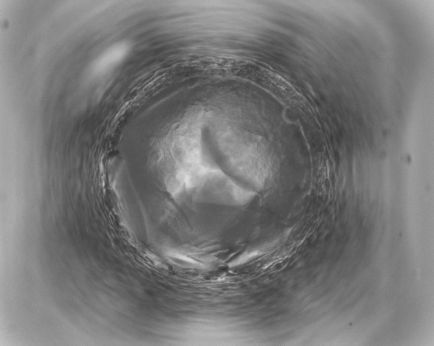 X0000087631013200705181455