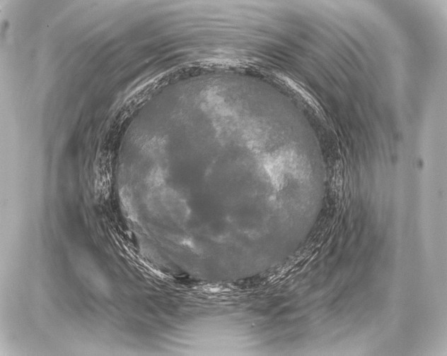 X0000087631015200705181455