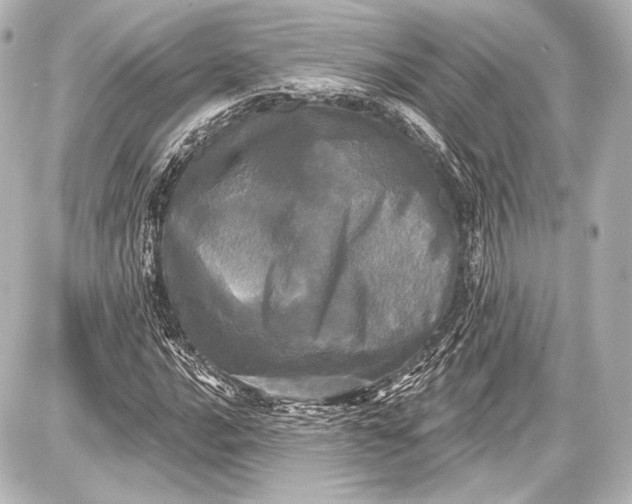 X0000087631016200705181455