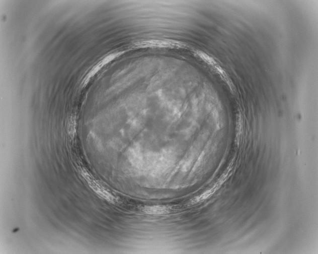 X0000087631017200705181455