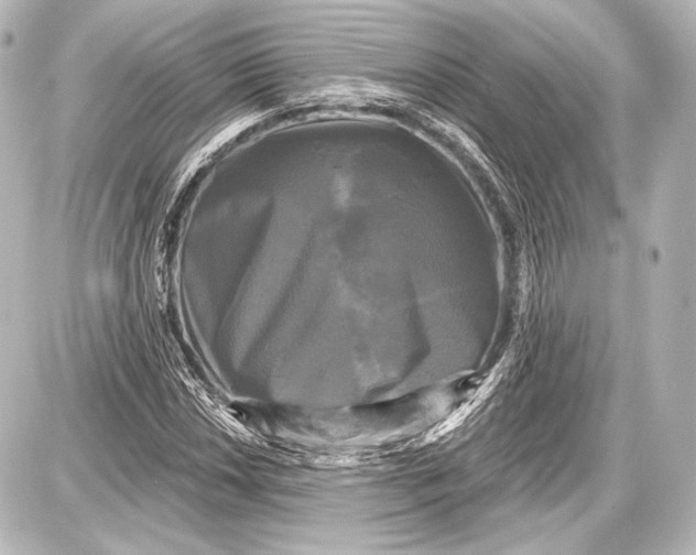 X0000087631018200705181455