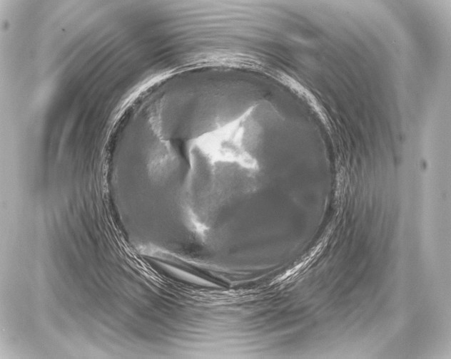 X0000087631019200705181455