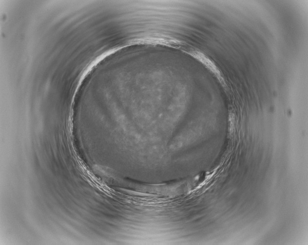 X0000087631020200705181455