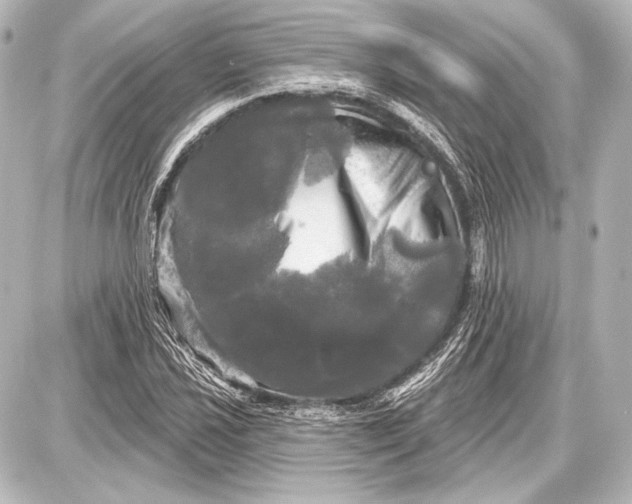 X0000087631021200705181455