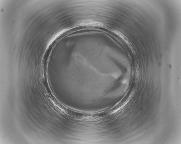 X0000087631022200705181455