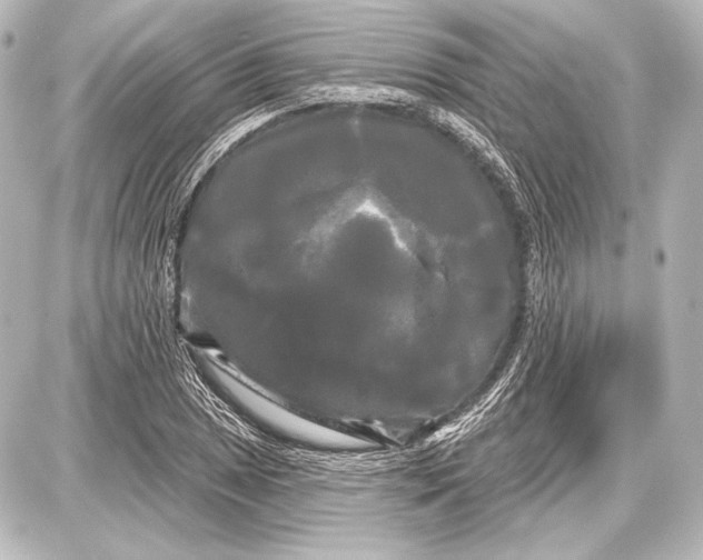 X0000087631025200705181455