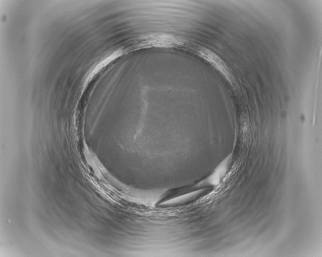 X0000087631026200705181455